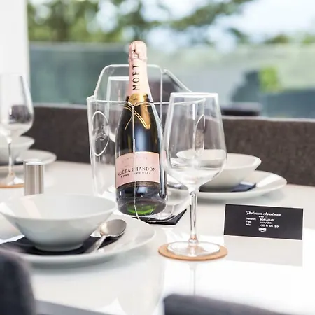 公寓式酒店 Boa Luxury Aparthouse With Swimming Pool 里耶卡