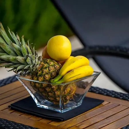 Aparthotel Boa Luxury Aparthouse With Swimming Pool Rijeka