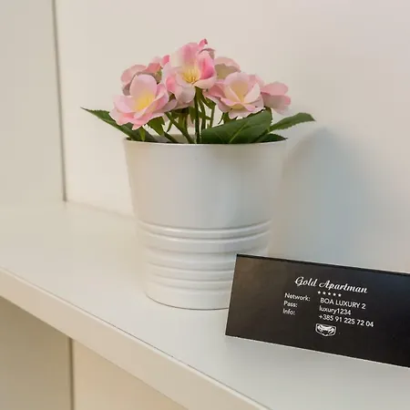Boa Luxury Aparthouse With Swimming Pool Aparthotel Rijeka